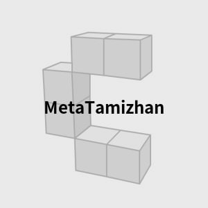 NFT called MetaTamizhan