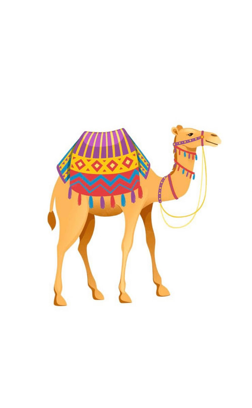 NFT called camel