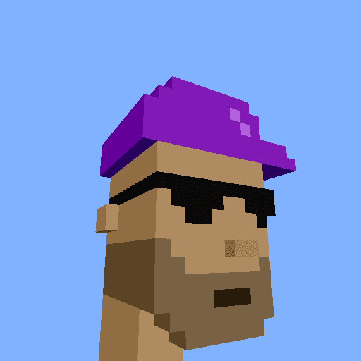 NFT called PunkVoxels #2512