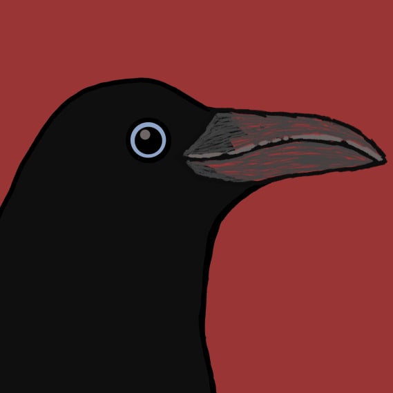 NFT called Crow Friends #385