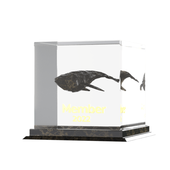 NFT called 2022 yWhales Member