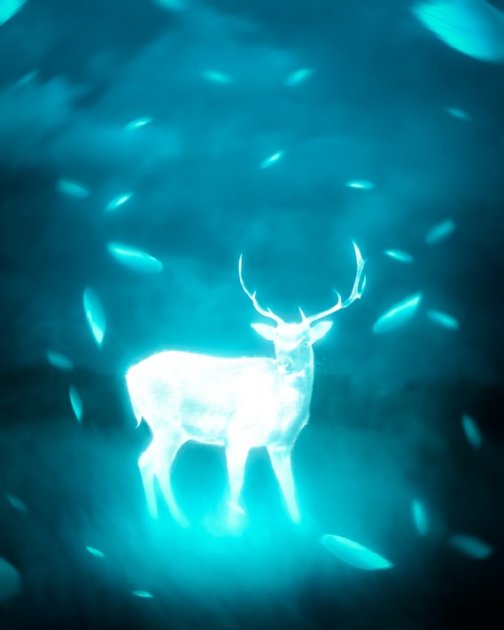 NFT called MAGICAL DEER