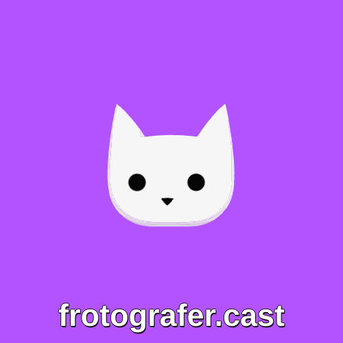 NFT called frotografer.cast