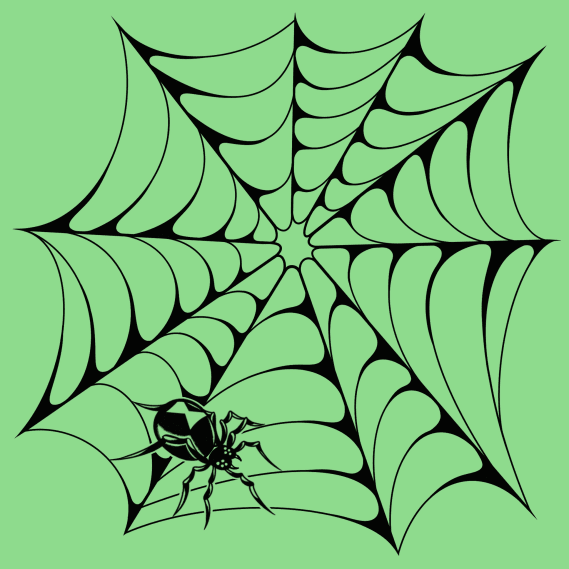 NFT called Spider & Web