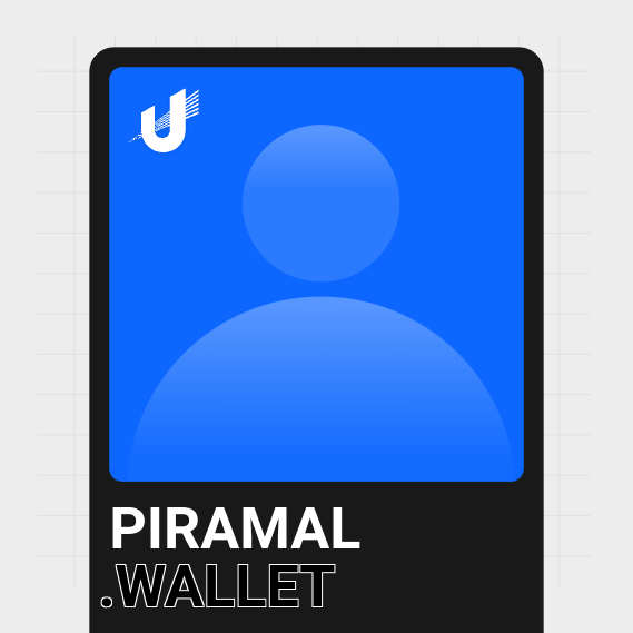 NFT called piramal.wallet