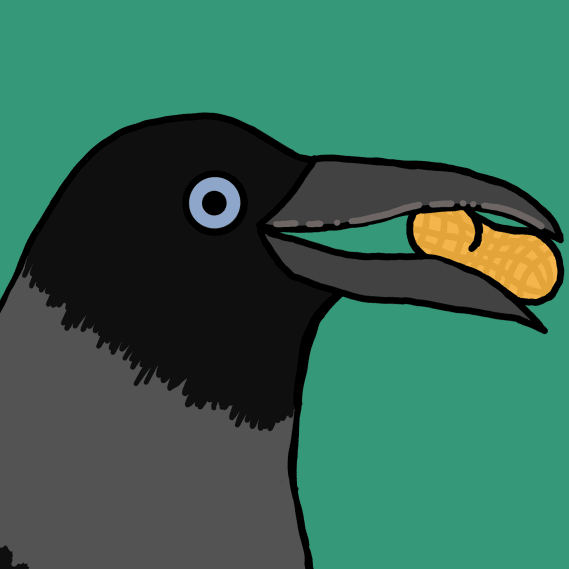 NFT called Crow Friends #541