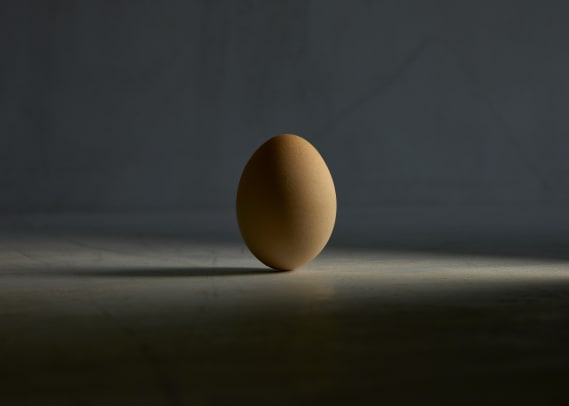 NFT called The Egg 84