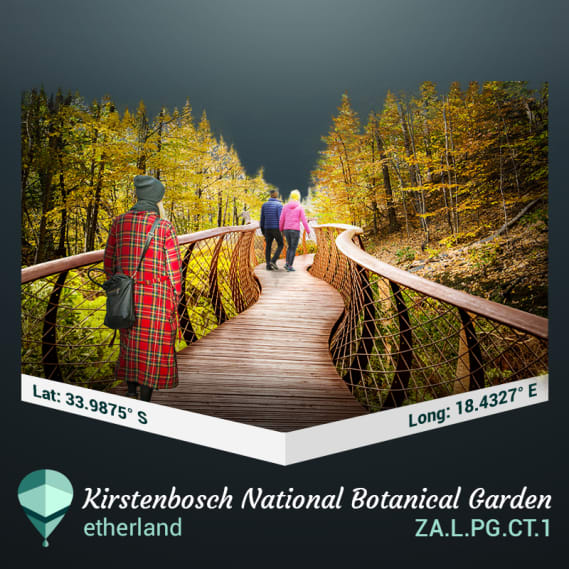 NFT called Kirstenbosch National Botanical Garden