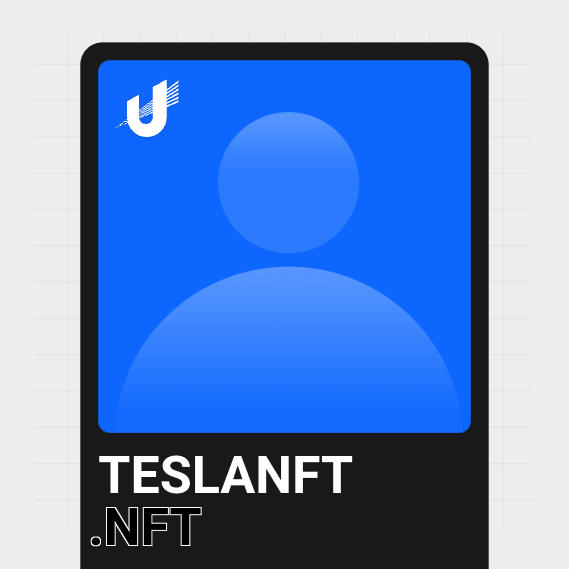 NFT called teslanft.nft