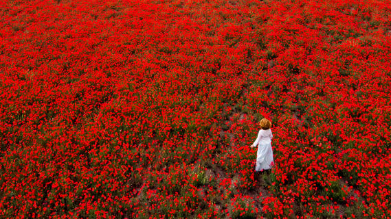 NFT called Red walk 