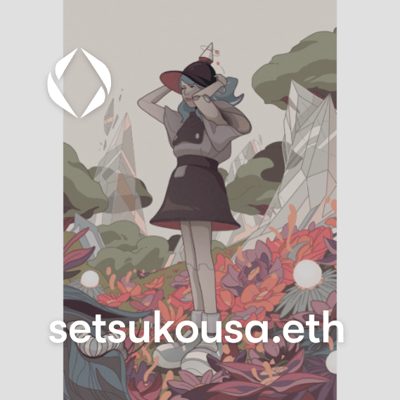 NFT called setsukousa.eth