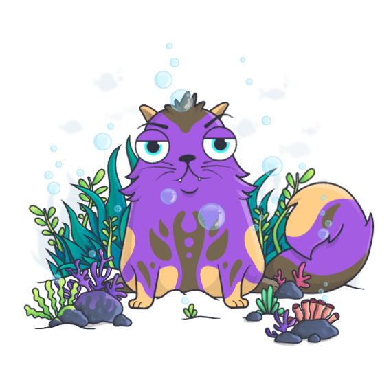 NFT called CryptoKitties #901153