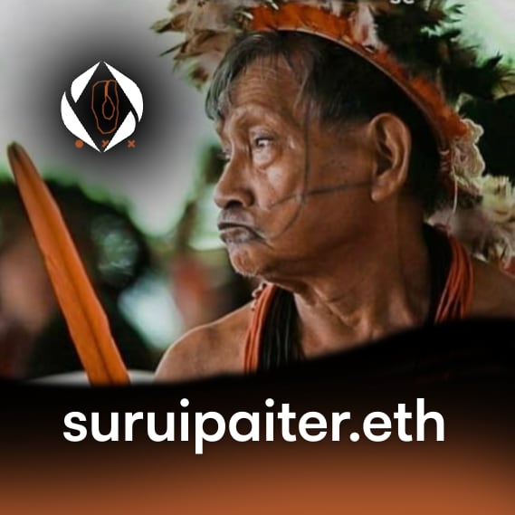 NFT called suruipaiter.eth