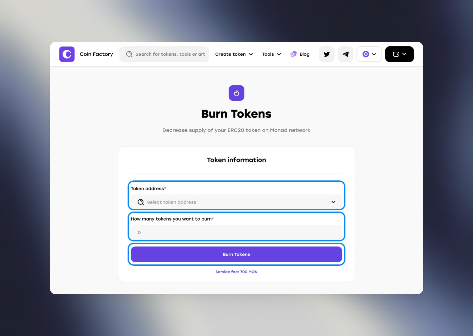 Enter Token Details