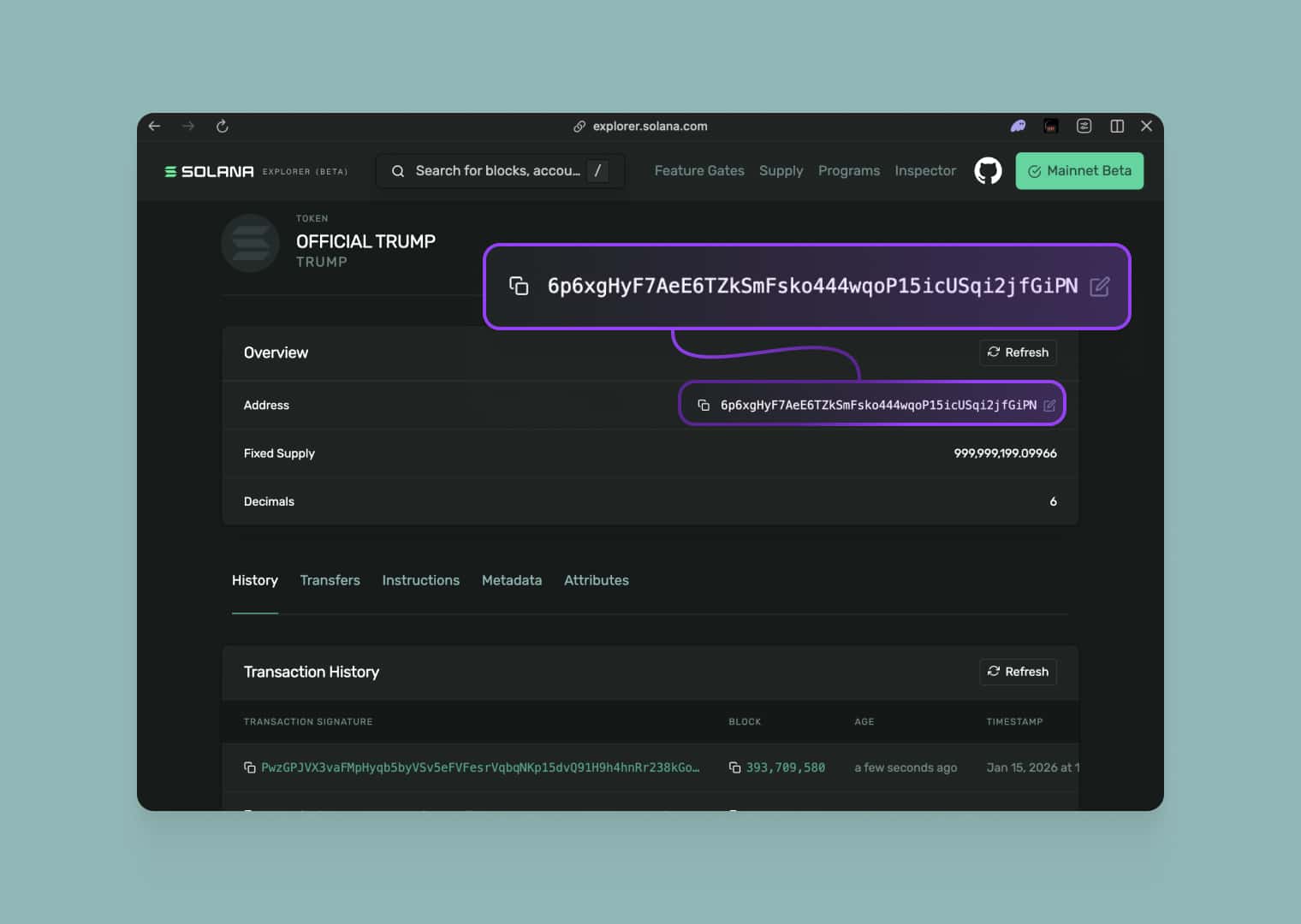 Get the token address in the Solana explorer