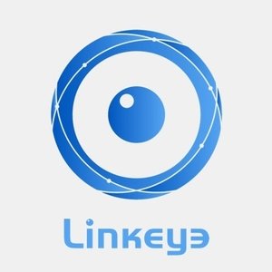 LinkEye logo