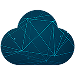 Skycoin logo