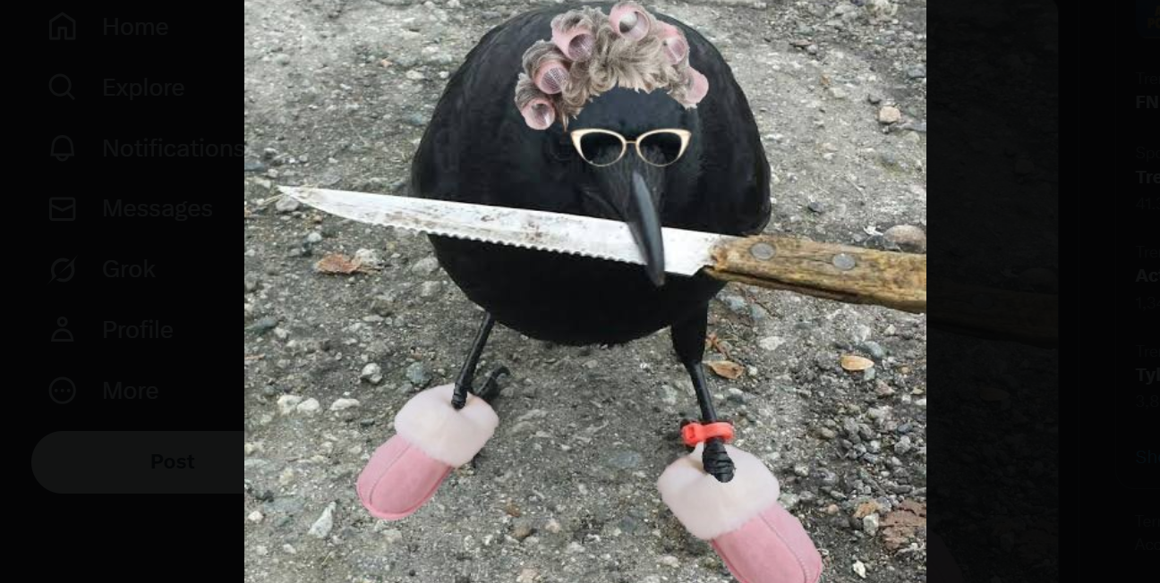 Crow with Knife Crypto: Analyzing the Risks and Rewards