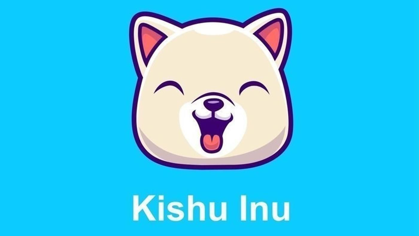 Kishu Inu Coin 2025: Price Forecast & Market News