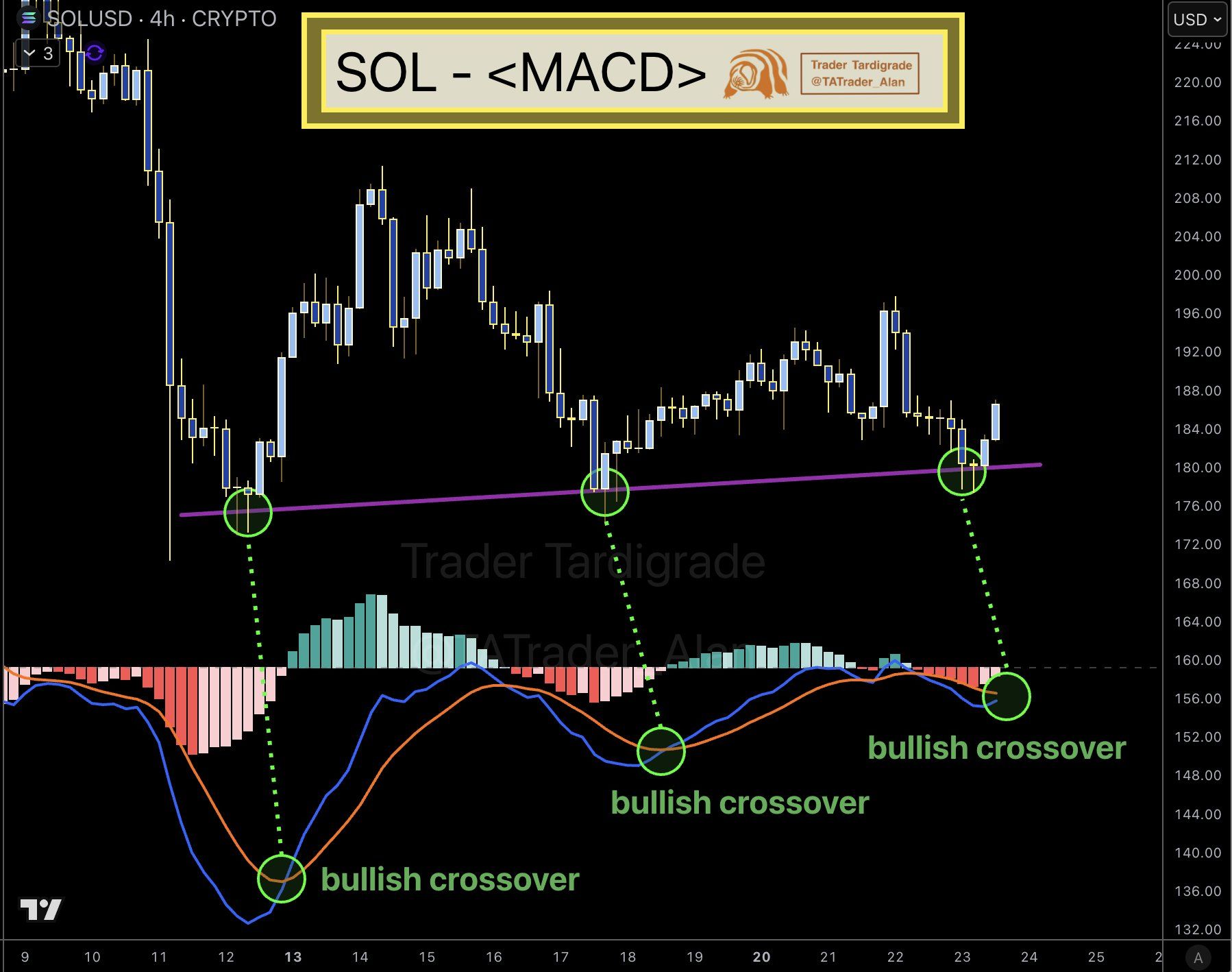 Jupiter Tests Solana-Based Prediction Market Ahead of 2026 Launch
