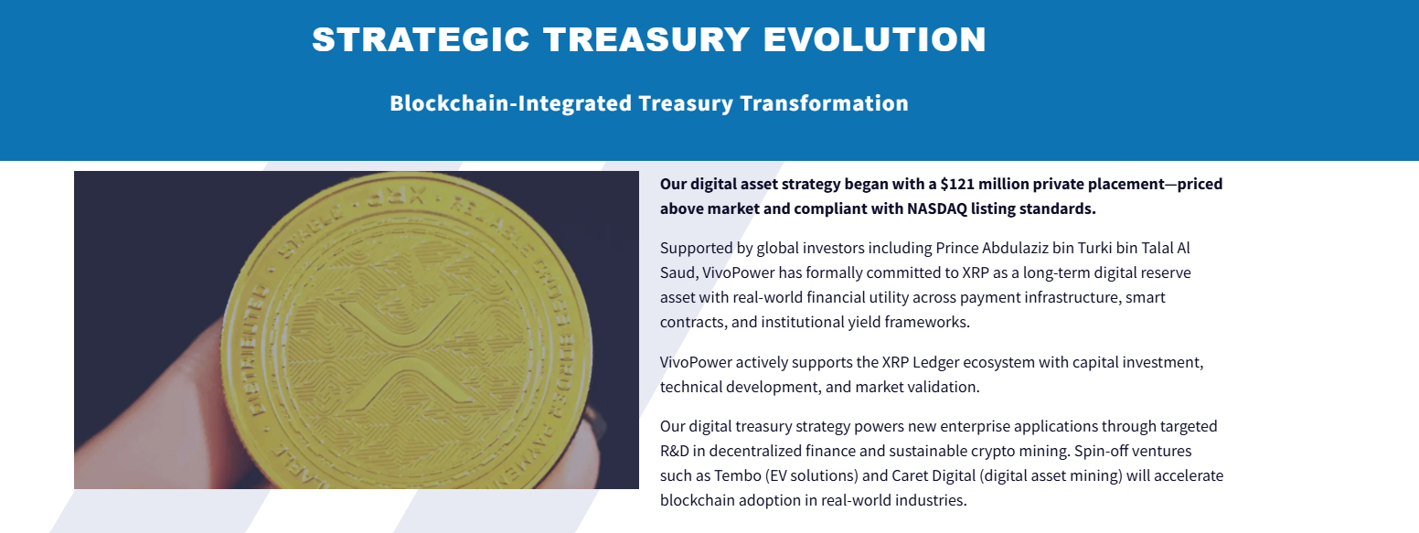 Largest XRP Treasury Companies in 2026: A Comprehensive Guide