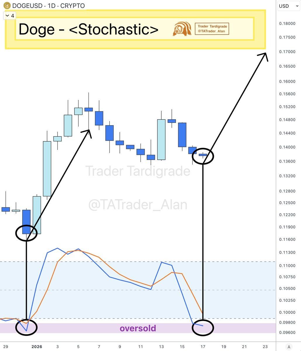 Dogecoin Trades Near $0.137 Amid Oversold Signals