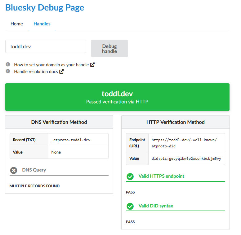The Bluesky Debug page showing the information for DNS and HTTP authorization for the domain.