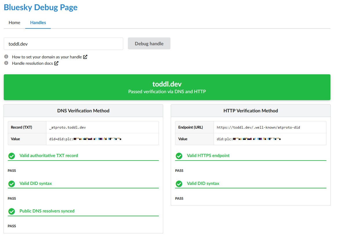 The Bluesky Debug page showing everything passing for DNS and HTTP verification.