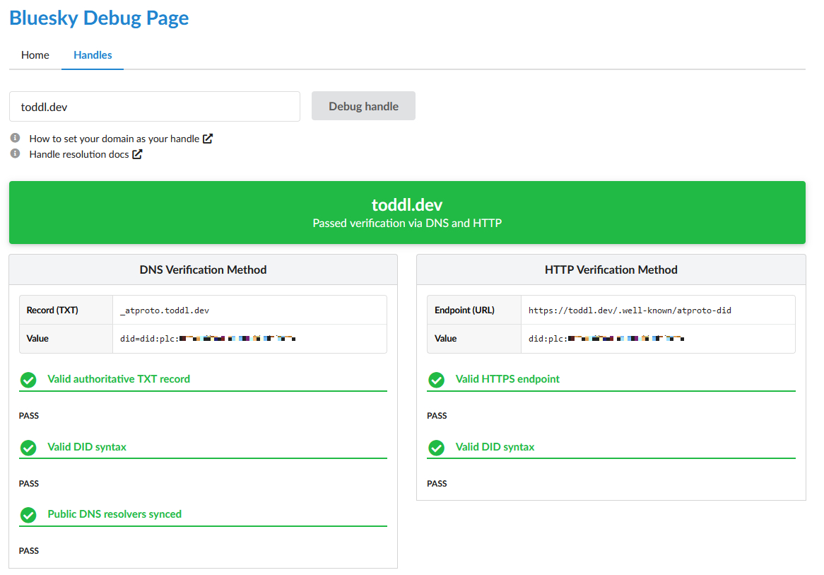 The Bluesky Debug page showing everything passing for DNS and HTTP verification.