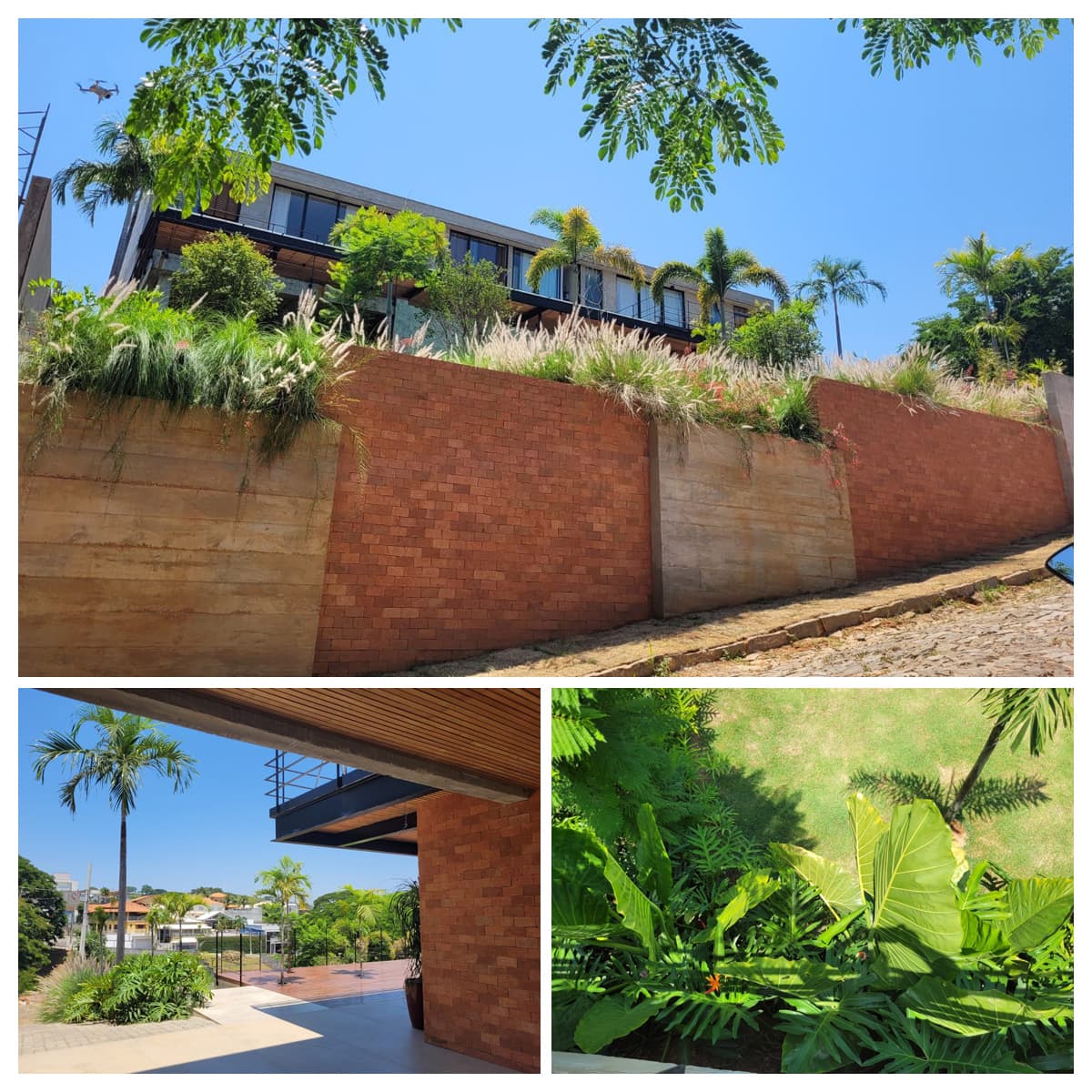 Paisagismo contemporâneo de Júlio Sousa em Sapucaia-RJ / Divg.SJS