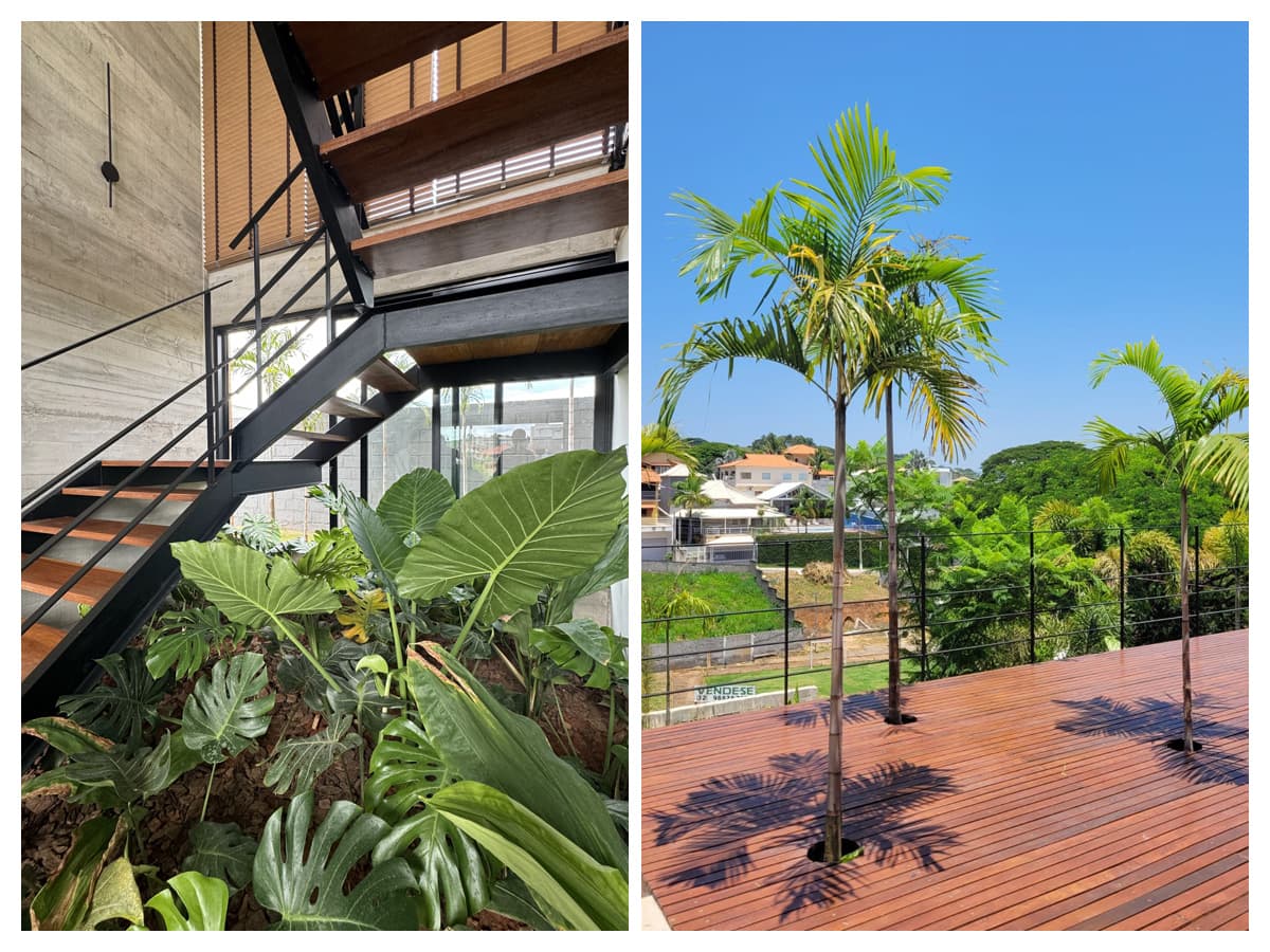 Paisagismo contemporâneo de Júlio Sousa em Sapucaia-RJ / Divg.SJS
