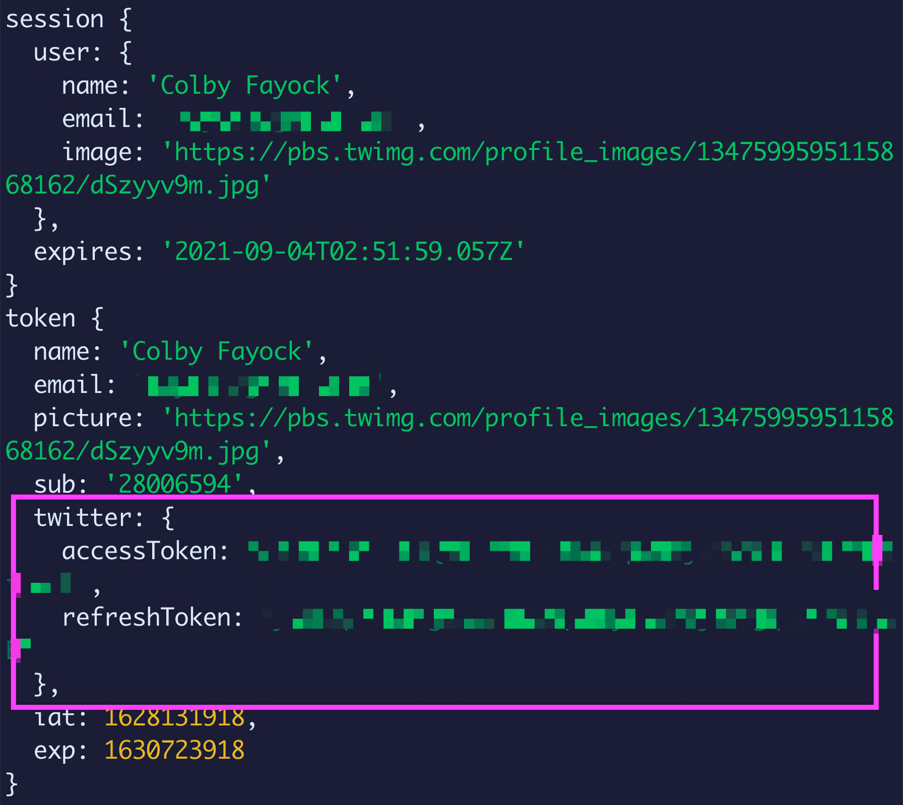 Terminal showing active token and session