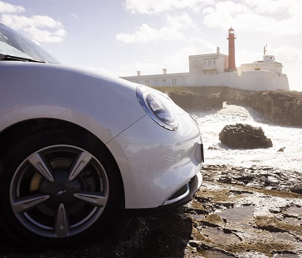 צילום צד ימין גחון קדמי אורה פאנקי קאט לבנה על רקע מגדלאור