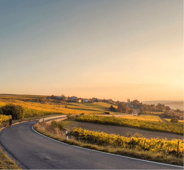 כביש פתוח ושדות ירוקים