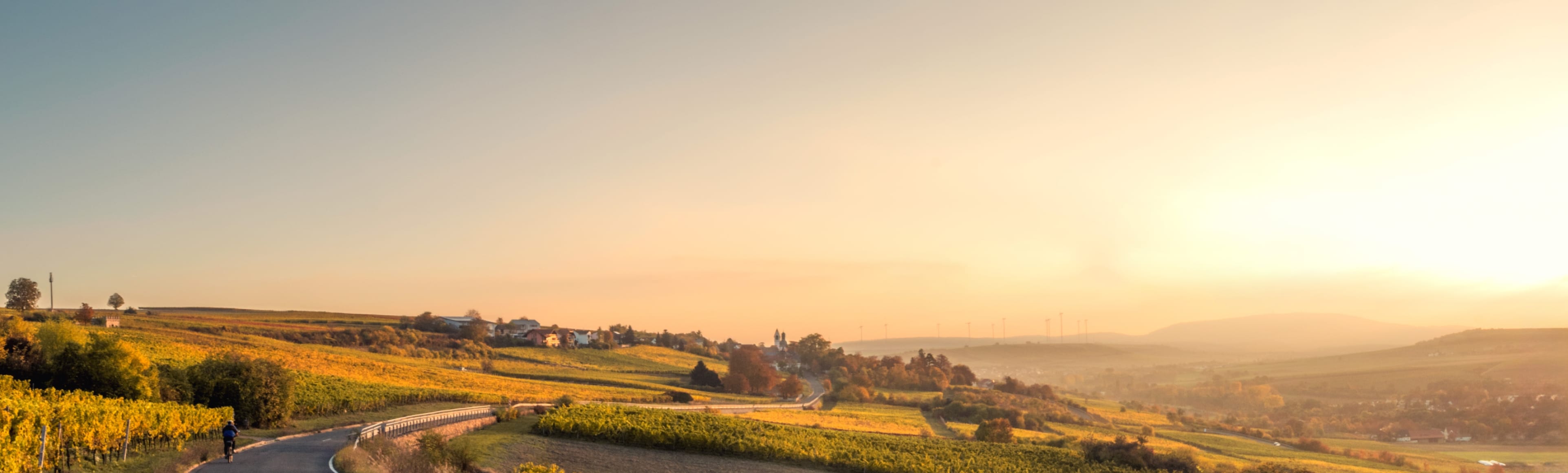 כביש פתוח ושדות ירוקים