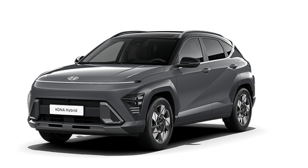 Kona Hybrid