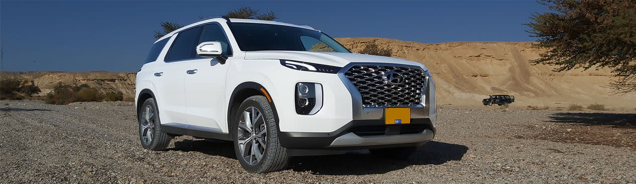 יונדאי פאליסייד לבנה