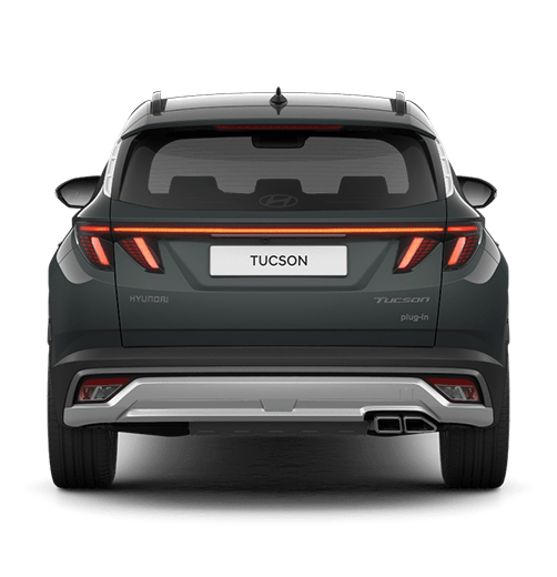 טוסון שחורה צילום מאחורה ללא רקע