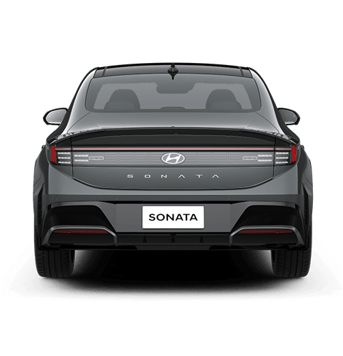 סונטה שחורה צילום מאחורה