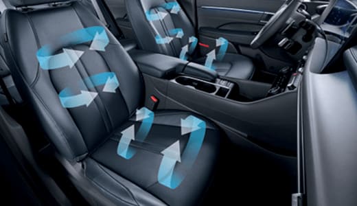 מושבים קדמיים צילום מבפנים