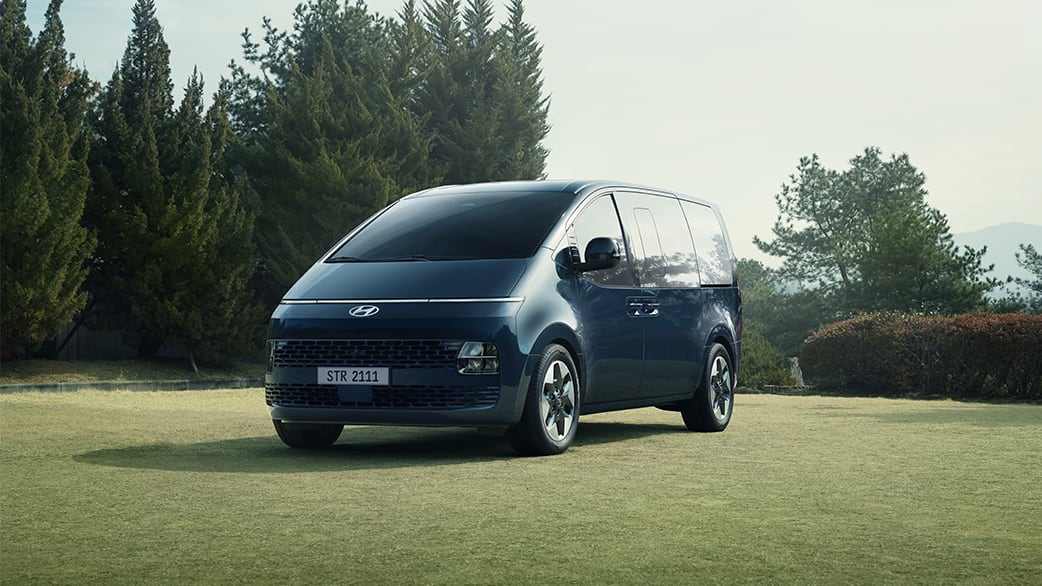 סטאריה חדשה עומדת על הדשא