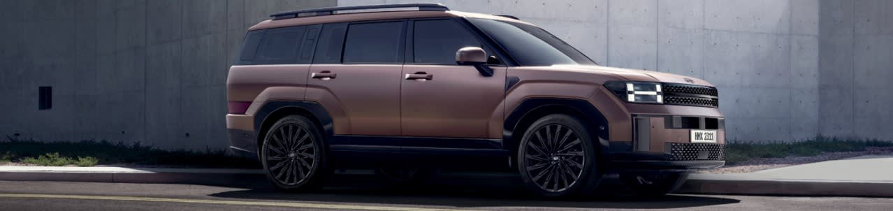 סנטה פה החדשה - באנר עליון