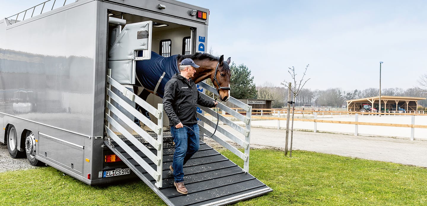אדון האורווה