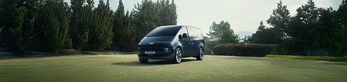 סטאריה על הדשא צילום קדימה צד ימין