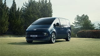 סטאריה על הדשא צילום קדימה צד ימין - תמונה למובייל