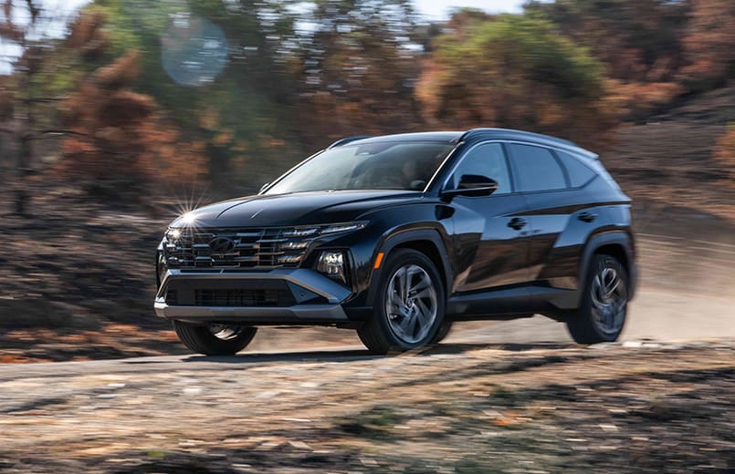 רכב שטח בנסיעה בשטח