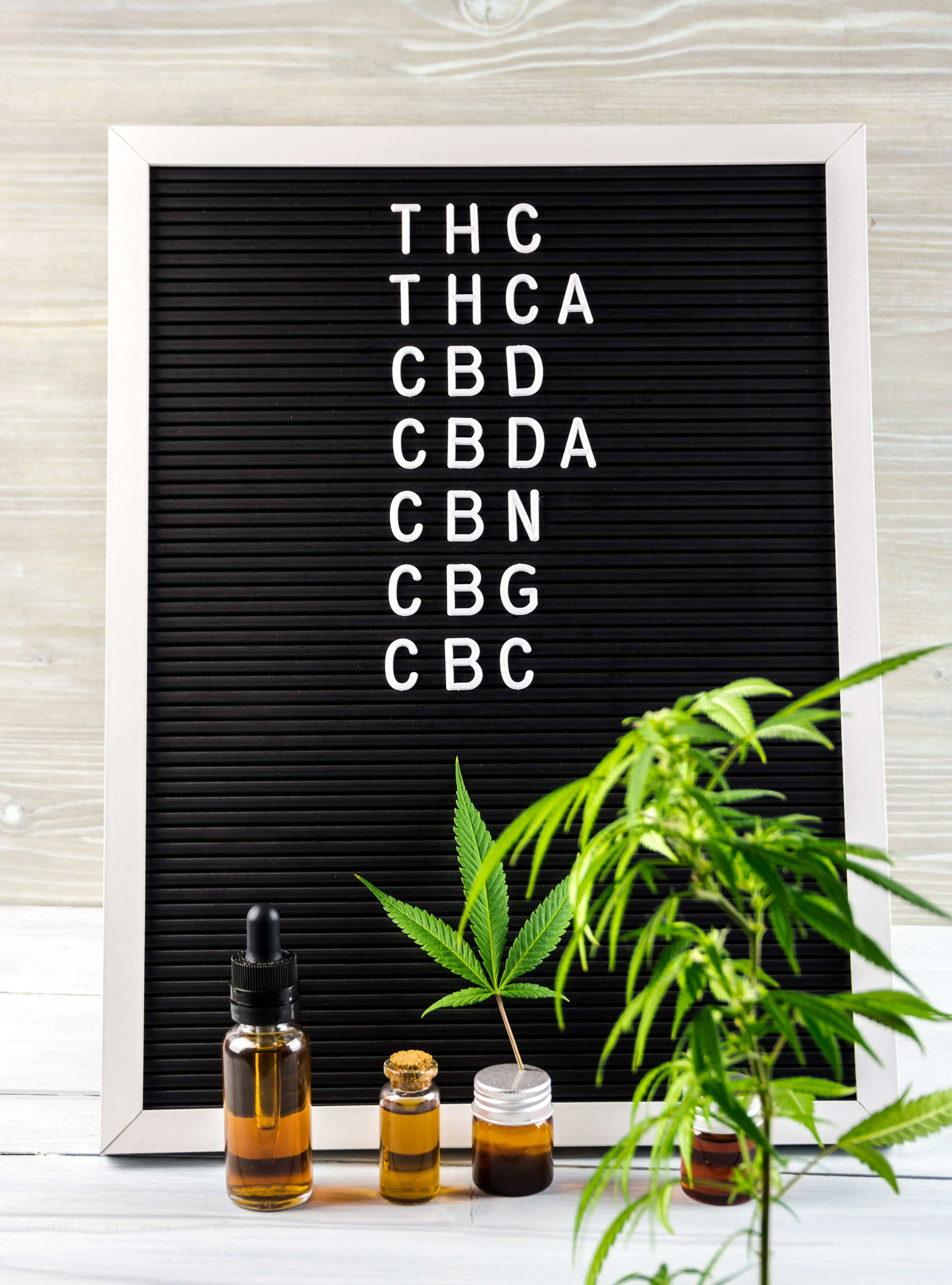 What you need to know about CBD and THC