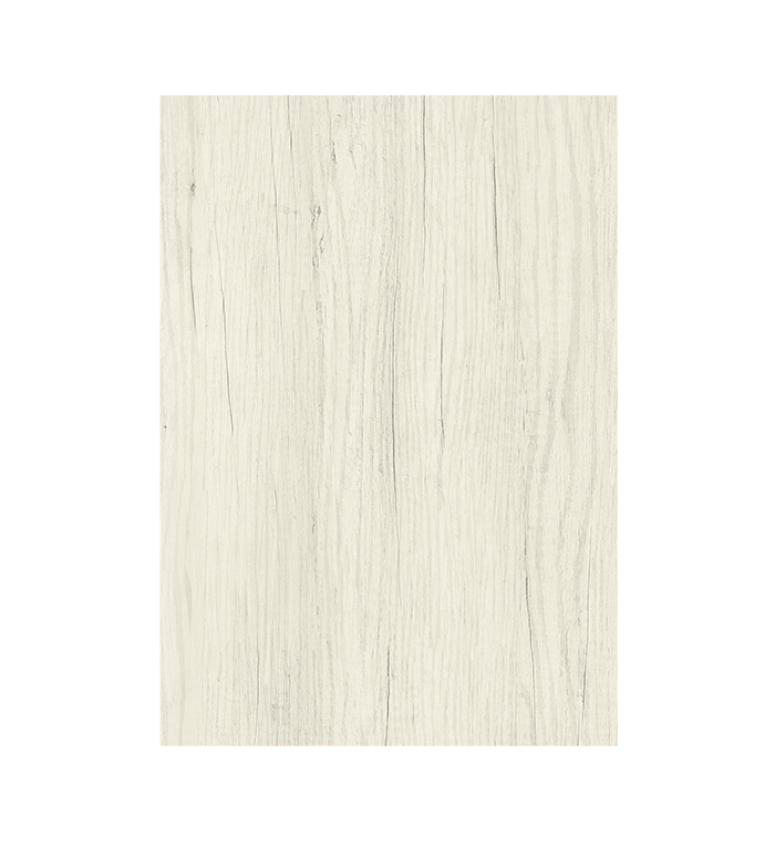 Anta rovere gesso