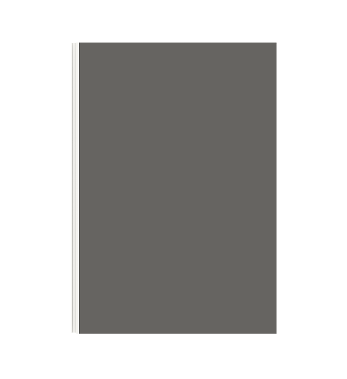 Anta grigio titanio - Maniglia bianco opaco
