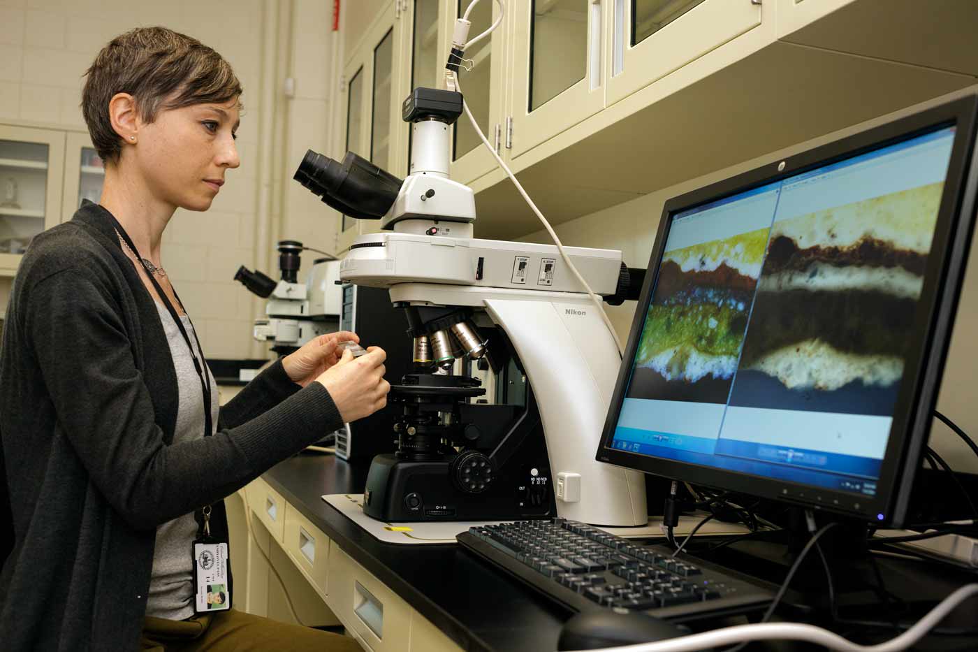 Meet The Curator Conservator meet-the-curator-conservator
